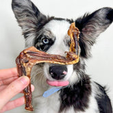 Up The Duck - Duck Wings-Dog Treat-Rover Pet Products